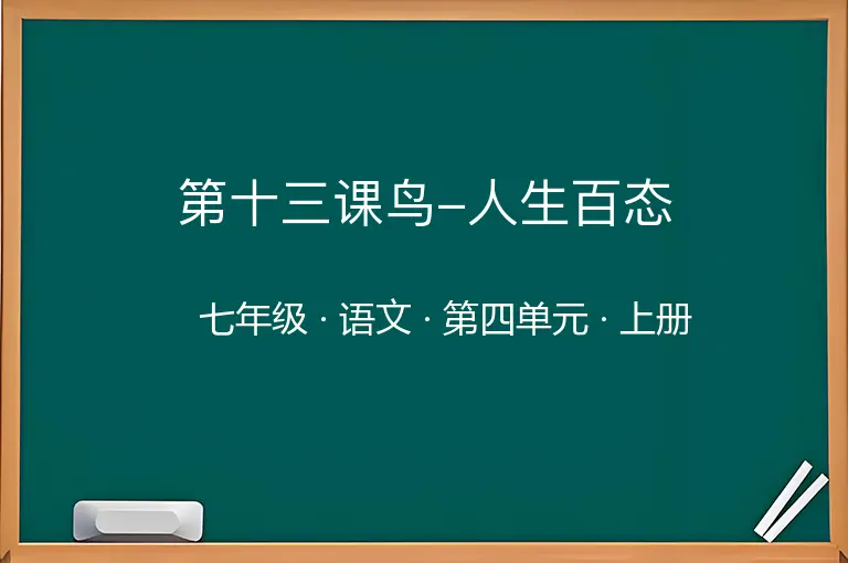第十三课鸟-人生百态-七年级-语文-上册-第四单元