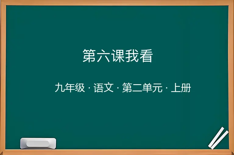 第六课我看-九年级-语文-上册-第二单元