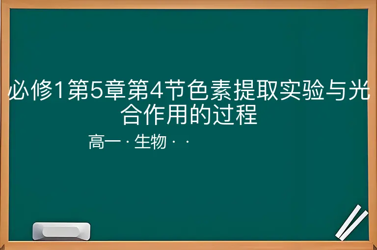必修1第5章第4节色素提取实验与光合作用的过程-高一-生物--