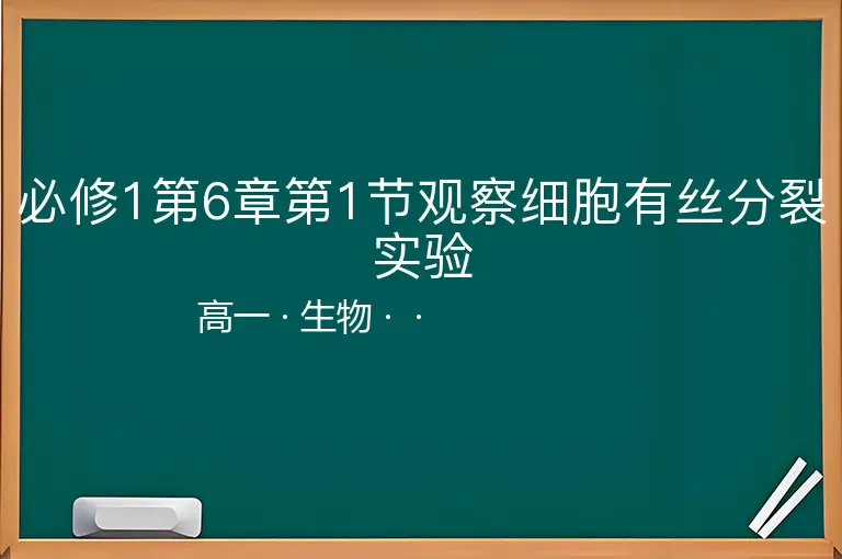 必修1第6章第1节观察细胞有丝分裂实验-高一-生物--
