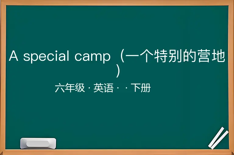 A special camp（一个特别的营地）-六年级-英语-下册-